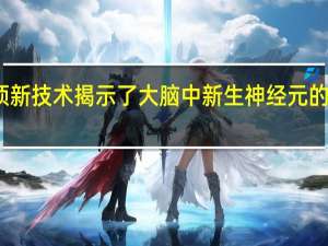 一项新技术揭示了大脑中新生神经元的遗传起源