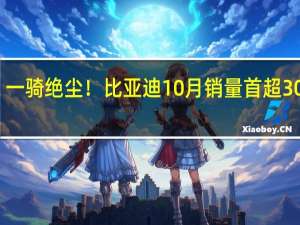 一骑绝尘！比亚迪10月销量首超30万辆：秦、宋、元、海鸥均超4万