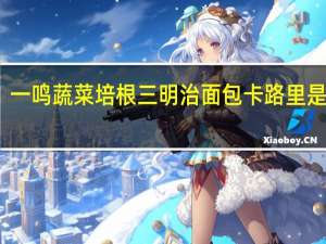 一鸣 蔬菜培根三明治面包卡路里是多少