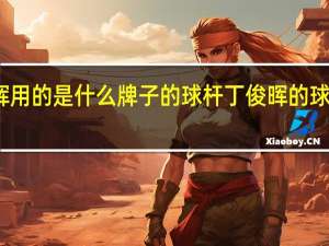 丁俊晖用的是什么牌子的球杆 丁俊晖的球杆值多少钱