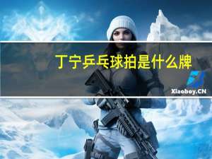 丁宁乒乓球拍是什么牌