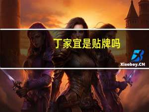 丁家宜是贴牌吗