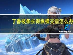 丁香枝条长得纵横交错怎么办