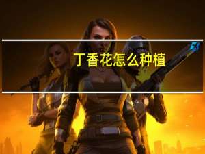 丁香花怎么种植