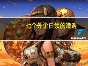 七个外企白领的遭遇（一个外企女白领的日记）