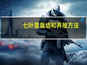 七叶莲栽培和养殖方法（七叶莲的养殖方法和注意事项）