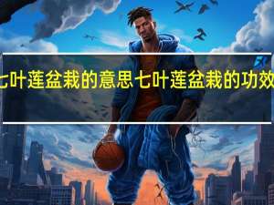 七叶莲盆栽的意思 七叶莲盆栽的功效与作用