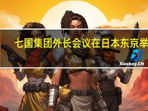 七国集团外长会议在日本东京举行