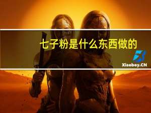 七子粉是什么东西做的（七子粉是什么东西）