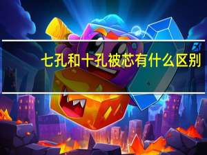 七孔和十孔被芯有什么区别