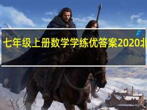 七年级上册数学学练优答案2020北师大（七年级上册数学学练优答案2019）