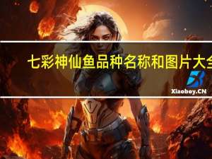 七彩神仙鱼品种名称和图片大全（七彩神仙鱼品种）