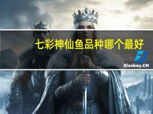 七彩神仙鱼品种哪个最好