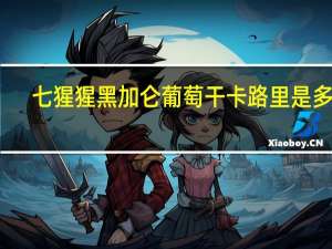 七猩猩 黑加仑葡萄干卡路里是多少