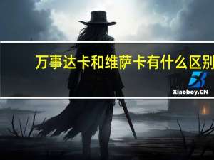 万事达卡和维萨卡有什么区别