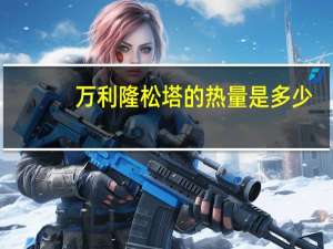 万利隆 松塔的热量是多少