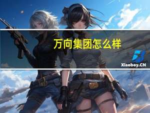 万向集团怎么样