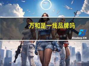 万和是一线品牌吗