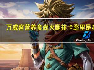 万威客 营养食尚火腿排卡路里是多少