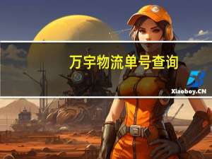 万宇物流单号查询（万宇nds）