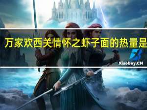 万家欢 西关情怀之虾子面的热量是多少