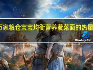 万家粮仓 宝宝均衡营养菠菜面的热量是多少