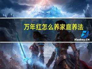 万年红怎么养家庭养法