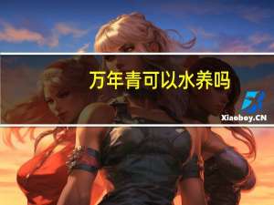 万年青可以水养吗