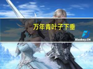 万年青叶子下垂：夏季避免强光直射