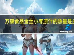 万康食品 金丝小枣原汁的热量是多少