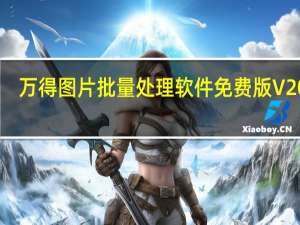 万得图片批量处理软件免费版 V2020.5 绿色破解版（万得图片批量处理软件免费版 V2020.5 绿色破解版功能简介）