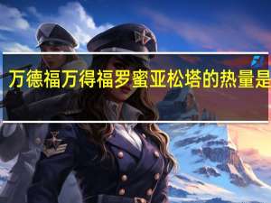 万德福 万得福 罗蜜亚松塔的热量是多少