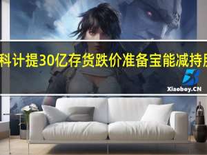 万科计提30亿存货跌价准备 宝能减持股份至11.97%