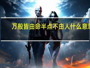 万般皆由命半点不由人什么意思