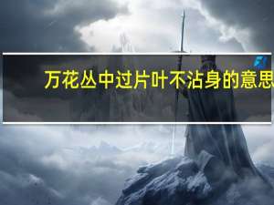 万花丛中过片叶不沾身的意思
