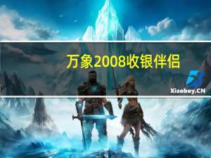 万象2008收银伴侣（万象2008收银伴侣）