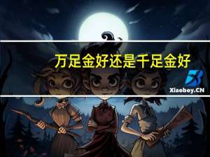 万足金好还是千足金好
