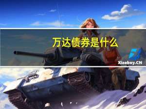 万达债券是什么