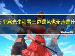 万里寒光生积雪三边曙色也无声是什么意思