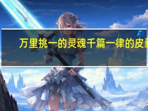 万里挑一的灵魂千篇一律的皮囊（万里挑一）