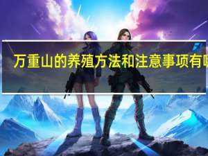 万重山的养殖方法和注意事项有哪些