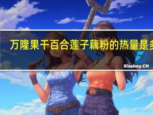 万隆果干 百合莲子藕粉的热量是多少