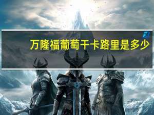 万隆福 葡萄干卡路里是多少