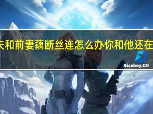 丈夫和前妻藕断丝连怎么办 你和他还在藕断丝连
