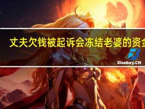 丈夫欠钱被起诉会冻结老婆的资金吗