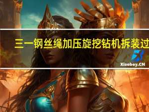 三一钢丝绳加压旋挖钻机拆装过程