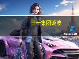 三一集团谈波（向文波-三一重工股份有限公司总裁介绍）
