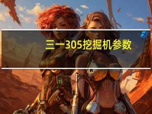 三一305挖掘机参数