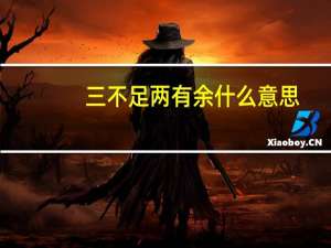 三不足两有余什么意思