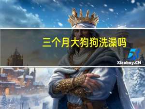 三个月大狗狗洗澡吗